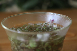 چای کوهی یک نوشیدنی آرام بخش برای رفع خستگی و ضد افسردگی